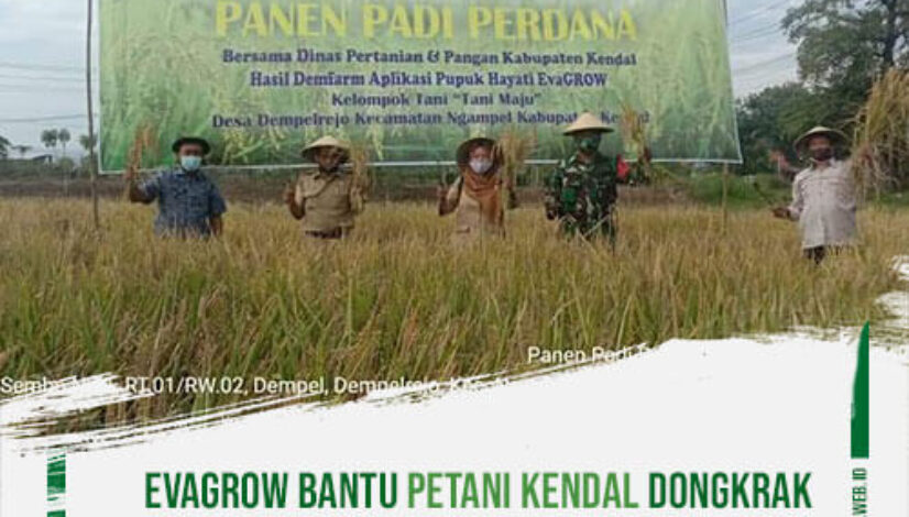 EvaGrow-Bantu-Petani-Kendal-Dongkrak-Hasil-Panen