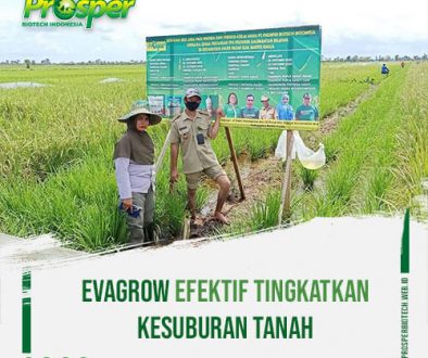 EvaGrow-Efektif-Tingkatkan-Kesuburan-Tanah