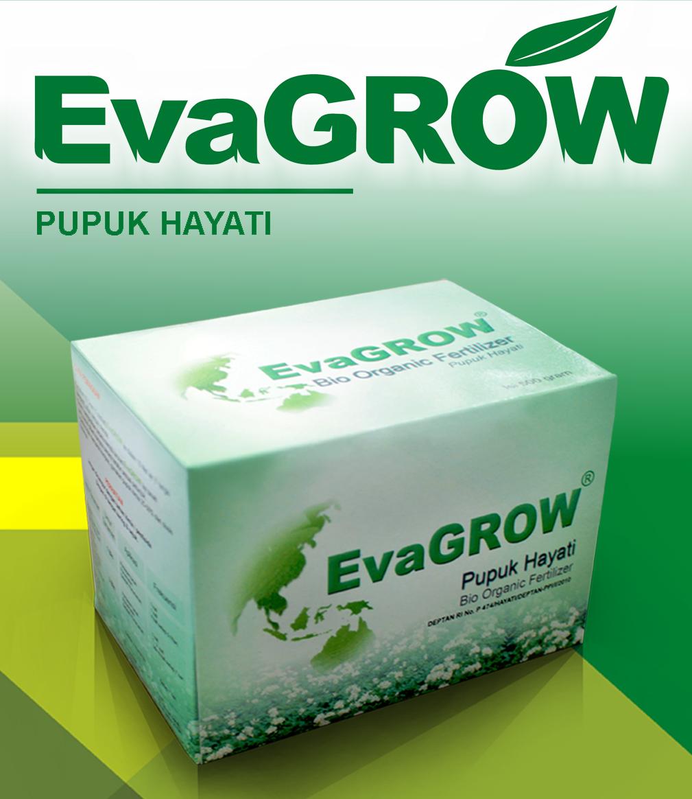 Foto Produk - EvaGROW