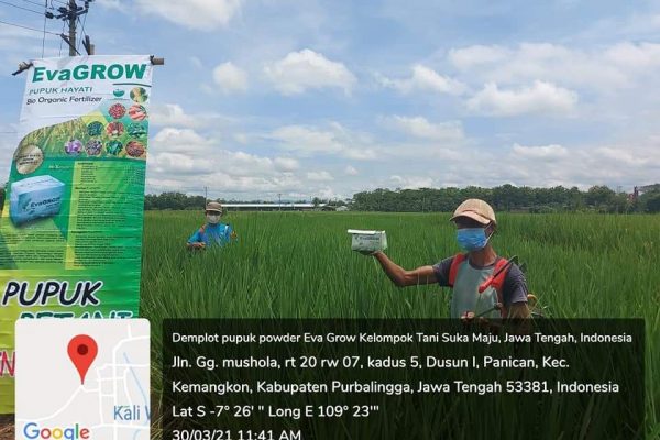 Galeri PT Prosper Biotech Indonesia (15)