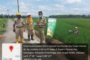 Galeri PT Prosper Biotech Indonesia (18)