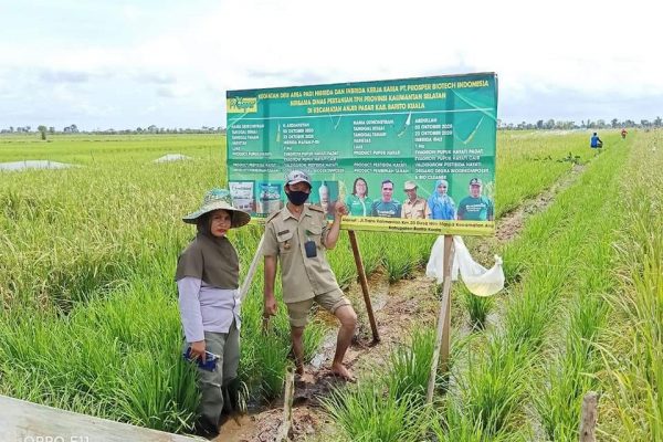Galeri PT Prosper Biotech Indonesia (5)