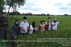 Galeri PT Prosper Biotech Indonesia (7)