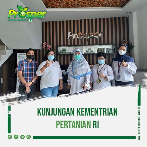 kunjungan-kementrian-pertanian