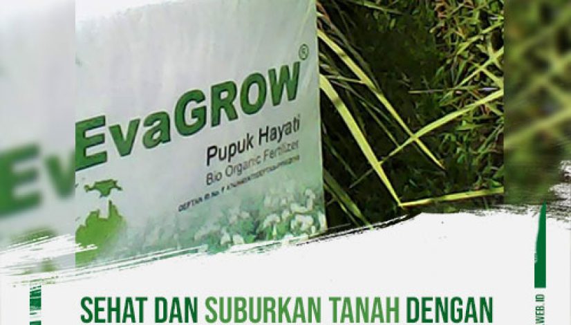 sehat-dan-suburkan-tanah-dengan-konsorsium